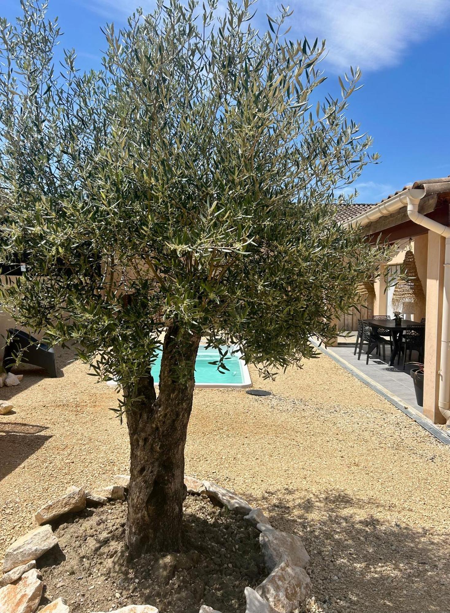 Maison Piscine & Spa Vallon Pont D'Arc 外观 照片